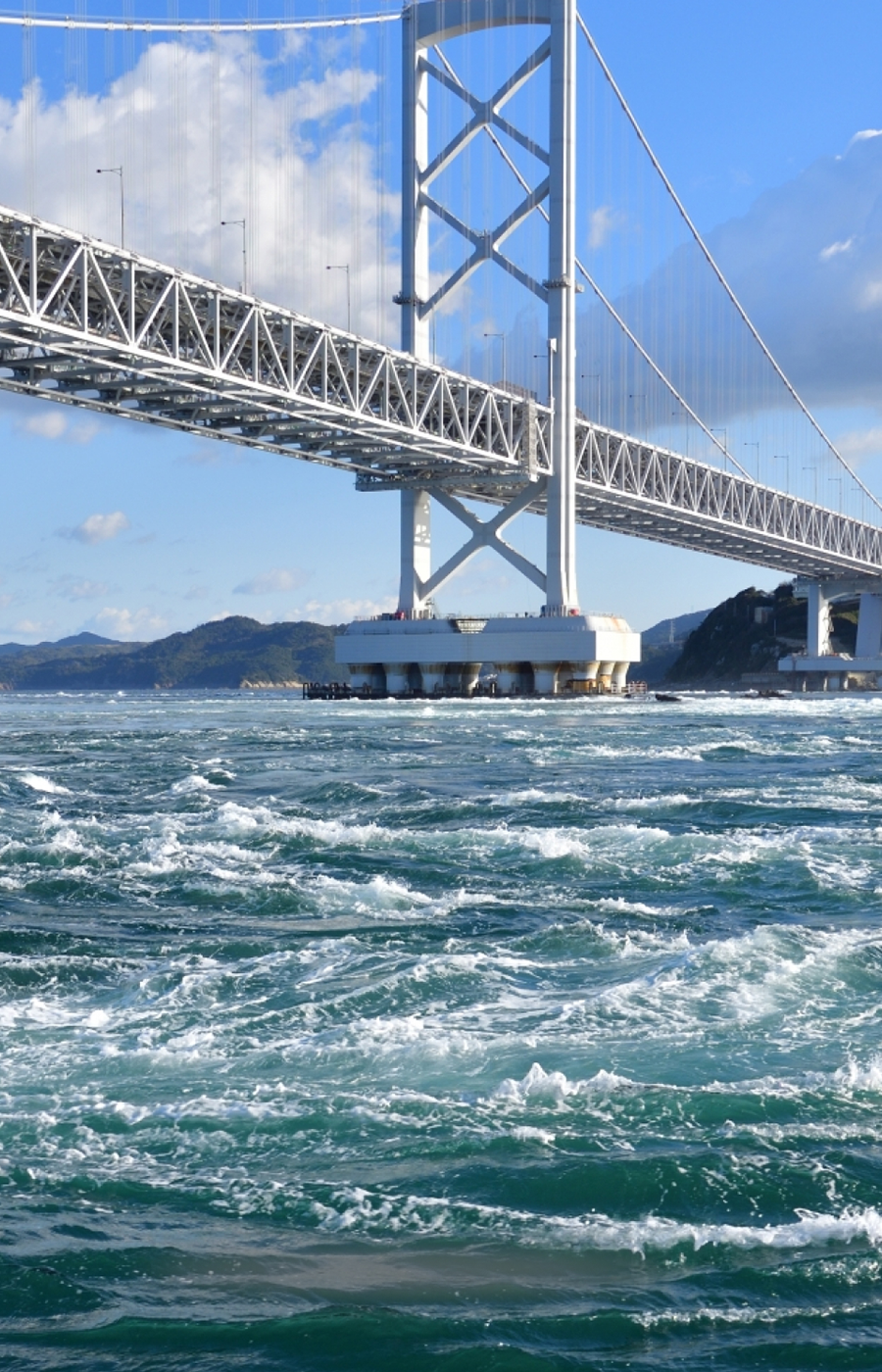 株式会社程揚国際