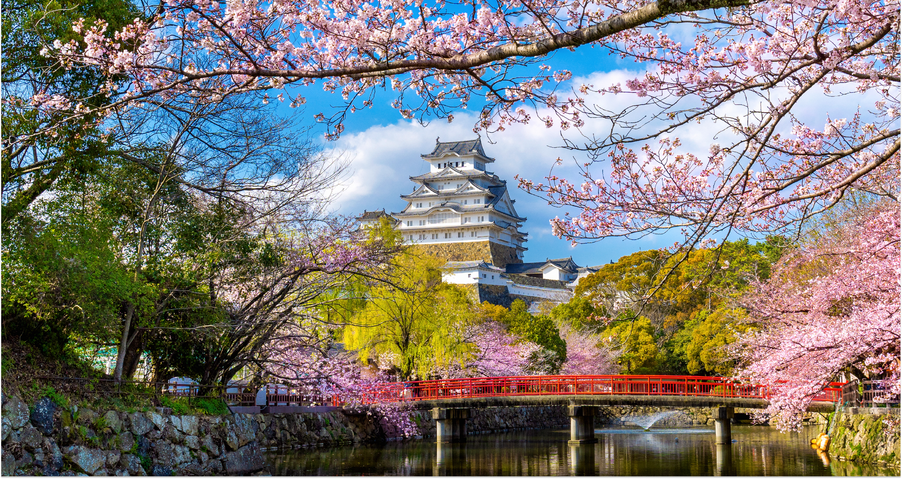 株式会社程揚国際